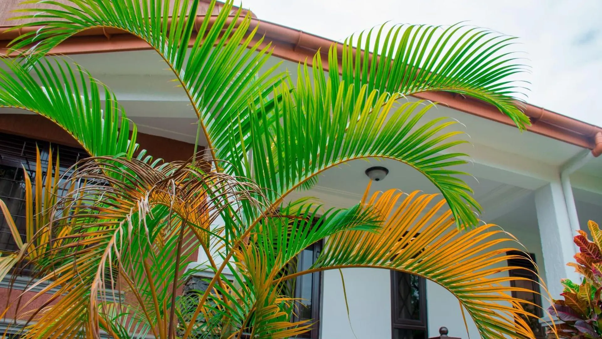 Travel Sanctuary Residence - Luxury2 Kampala 0*,  Uganda